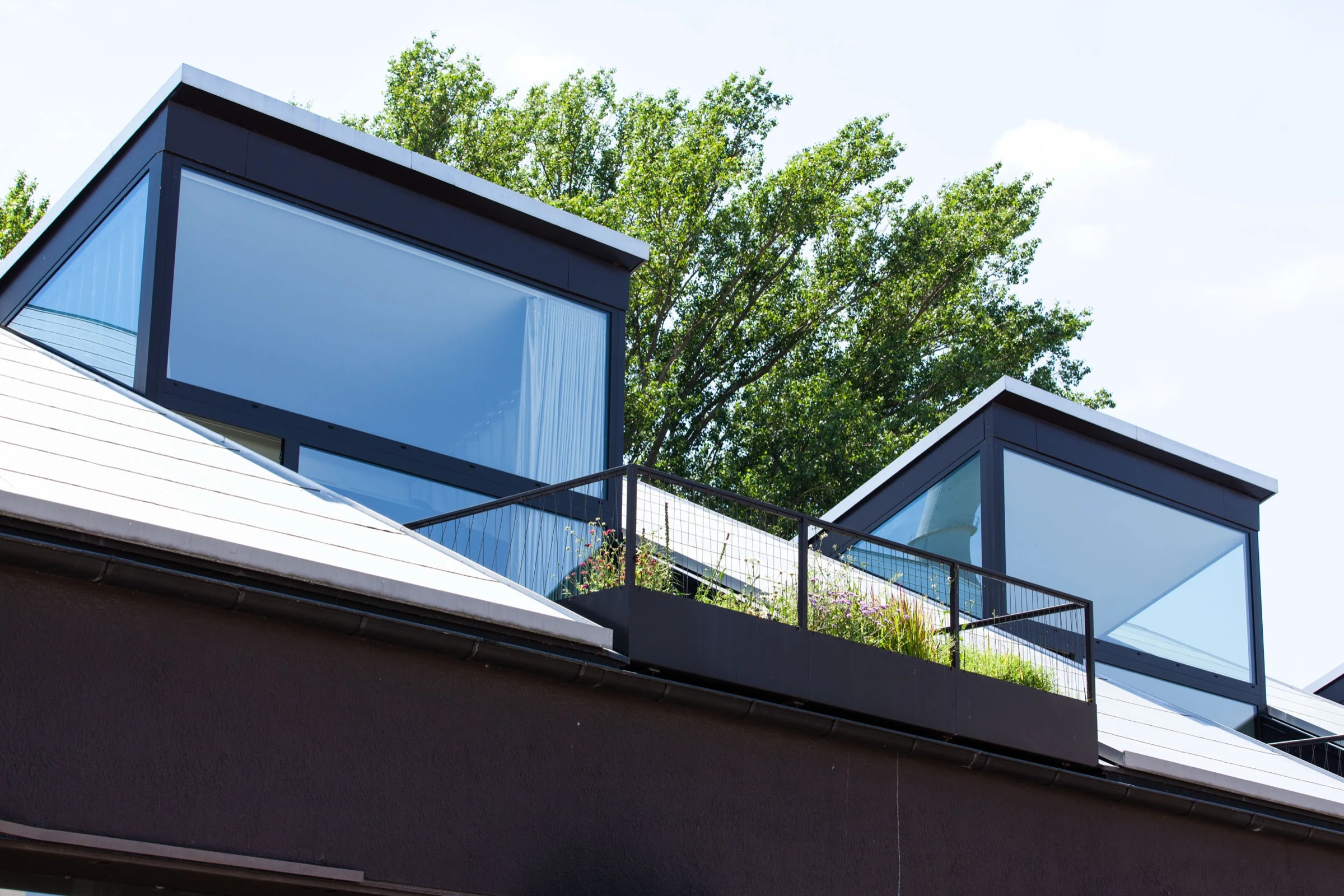Roof windows and terrace planting from outside